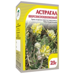 Купить Астрагал шерстистоцветковый 25г