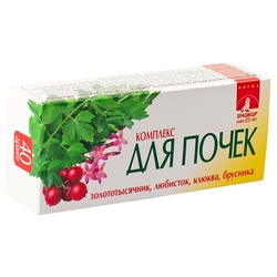 Купить КОМПЛЕКС ДЛЯ ПОЧЕК БИОКОР ДРАЖЕ 0,26Г N40