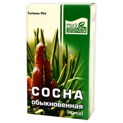Купить Сосны почки пач 50г