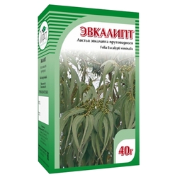 Купить Эвкалипт листья пач 40г