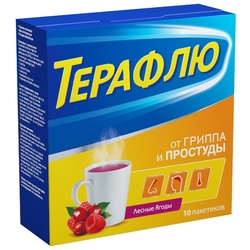 Купить Терафлю пор д/р-ра д/внутр №10 лесные ягоды